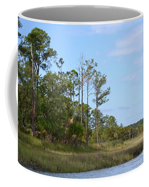 Sky Coffee Mug featuring the photograph Landscape and Blue Sky by Carol Bradley