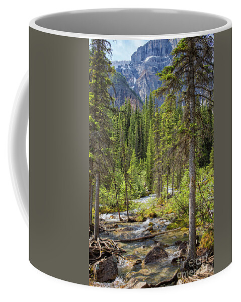 Beautiful Coffee Mug featuring the photograph Landscape Rocky Mountains by Patricia Hofmeester