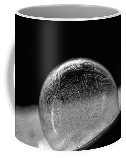 Frozen Bubble Coffee Mug featuring the photograph Lapse by Sue Capuano