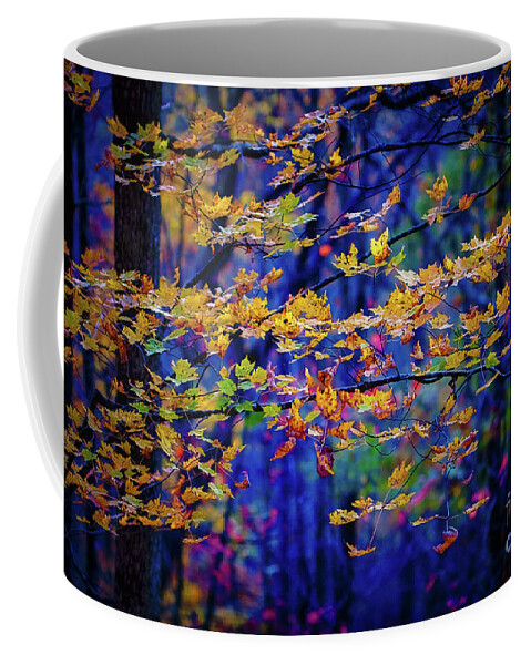 Last Leaves Of Fall Coffee Mug featuring the photograph Last Leaves of Fall by Doug Sturgess