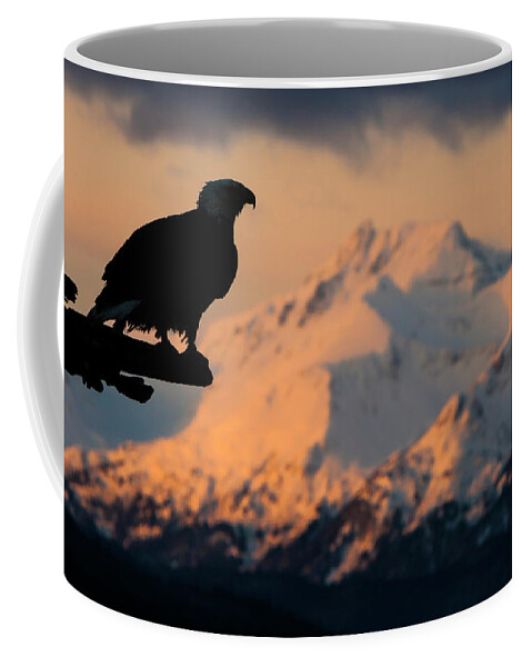 Eagle Coffee Mug featuring the photograph Last Light Bald Eagle by Mark Miller