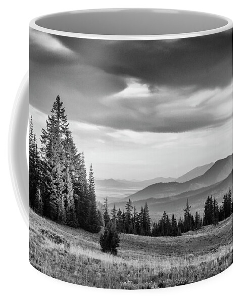 Meadows Coffee Mug featuring the photograph Last Light Of Day in BW by Frank Wilson