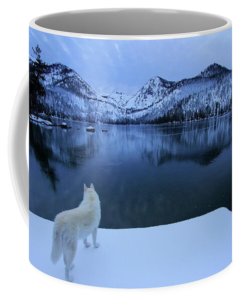 California Coffee Mug featuring the photograph Last Light on Frozen Cascade Lake by Sean Sarsfield
