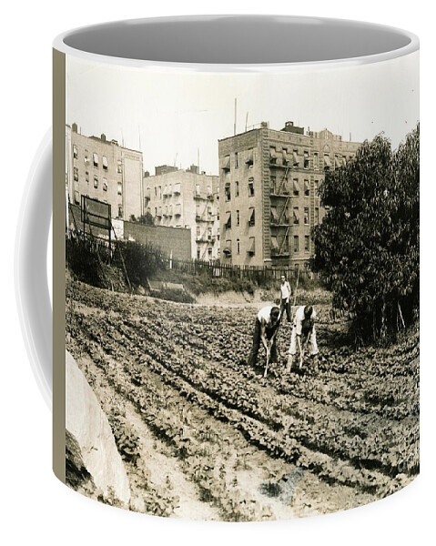 Farming Coffee Mug featuring the photograph Last Working Farm in Manhattan by Cole Thompson