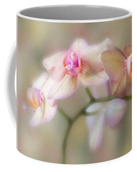Flower Coffee Mug featuring the photograph Lasting forever. by Usha Peddamatham