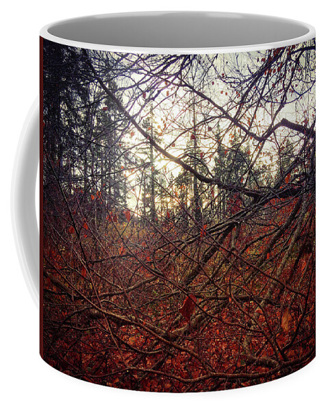 Woodland Coffee Mug featuring the photograph Late Autumn Morning by No Alphabet