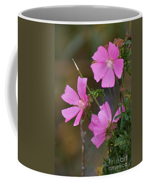 Photography Coffee Mug featuring the photograph Late Bloomer by Sean Griffin