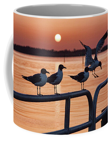 Anna Maria Island Florida Coffee Mug featuring the photograph Late For Breakfast by HH Photography of Florida