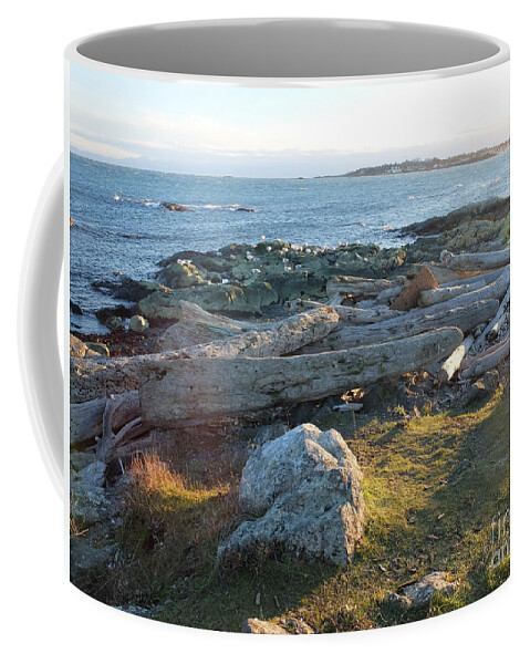 It Was Late Afternoon Standing Out By Cattle Loop Point In Victoria Bc. We Had Just Finished With The Windstorms And Arctic Outflows Leaving Behind Lots For Crafters And Artists To Peruse Through On The Beaches. Coffee Mug featuring the photograph Late In The Day by Ida Eriksen