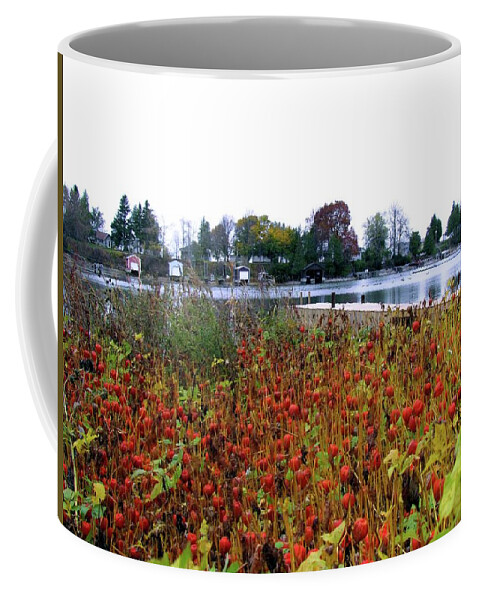 Fall Coffee Mug featuring the photograph Lanterns on Rose Bay by Dennis McCarthy