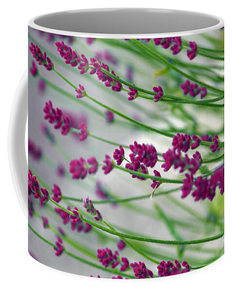 Lavender Coffee Mug featuring the photograph Lavender by Susanne Van Hulst