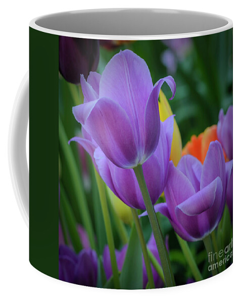 Tulips Coffee Mug featuring the photograph Lavender Tulips by Tamara Becker