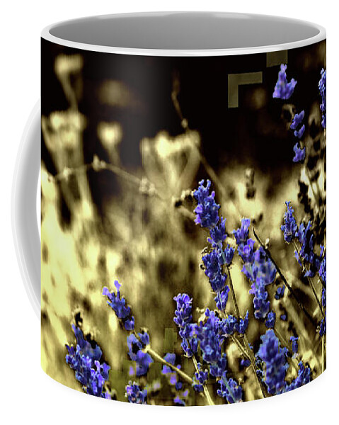 Purple Coffee Mug featuring the photograph Lavender Yellow by April Burton