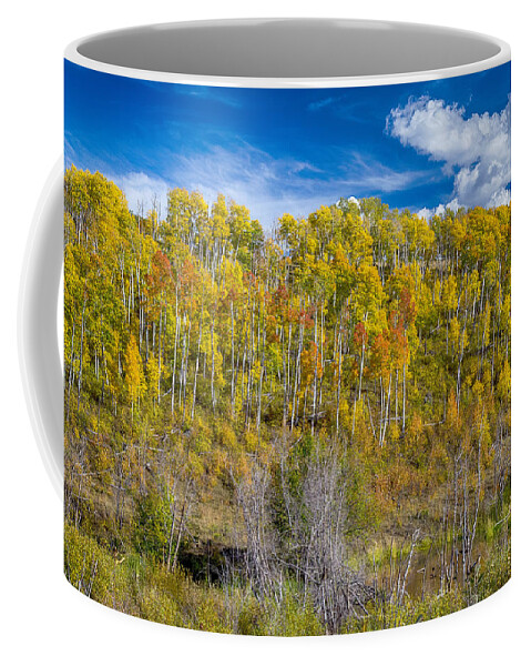 Scenic Coffee Mug featuring the photograph Layers of Colors of an Aspen Tree Forest by James BO Insogna