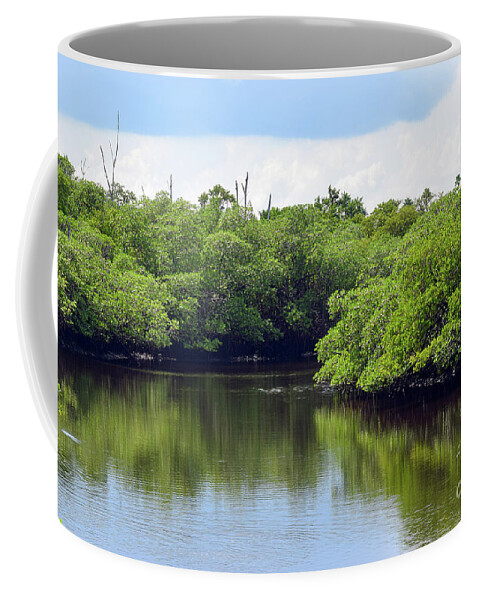 Landscape Coffee Mug featuring the photograph Lazy Tropical Stream by William Tasker