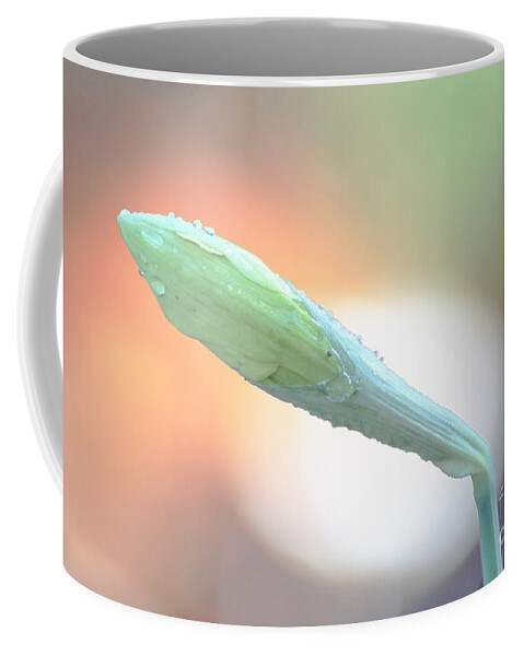 Flowers Coffee Mug featuring the photograph Leaburg Flower by Merle Grenz