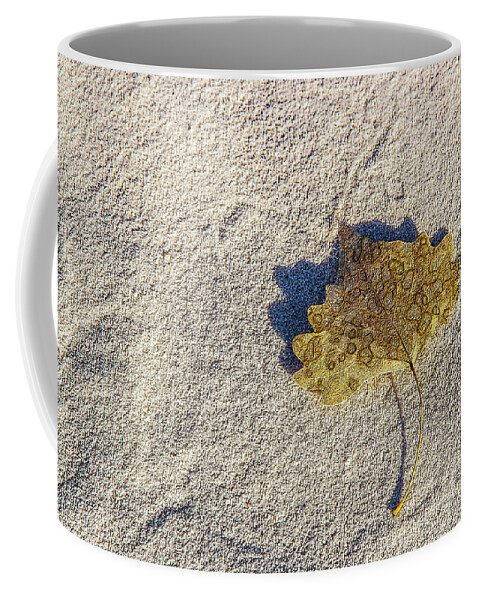 Monument Coffee Mug featuring the photograph Leaf, Shadow and Sand by Roslyn Wilkins