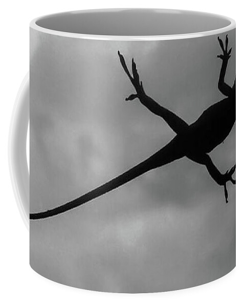 Lizard Coffee Mug featuring the photograph Leaping Lizard by Barry Bohn