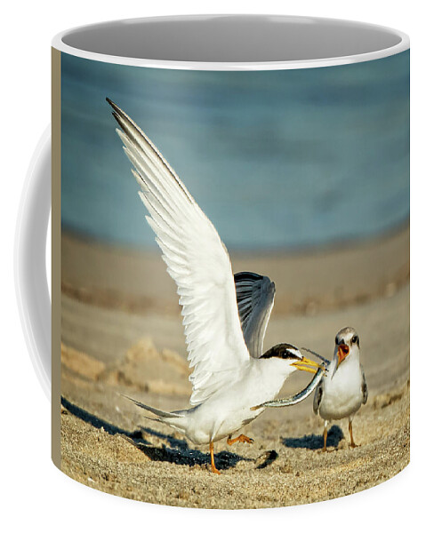Terns Coffee Mug featuring the photograph Lest Terns Foodfight by Steven Upton