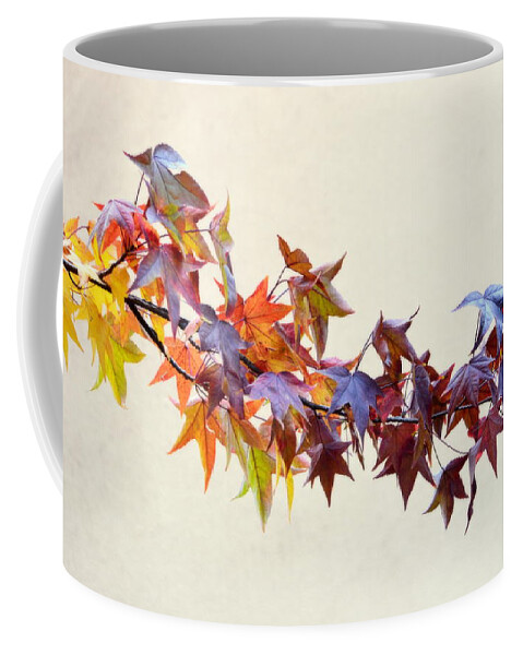 Scenic Coffee Mug featuring the photograph Leaves of Many Colors by AJ Schibig