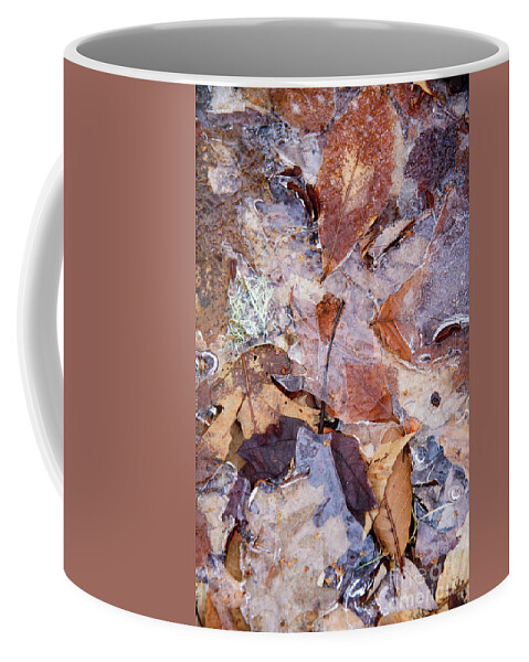 Frozen Coffee Mug featuring the photograph Leaves Abstract by Alana Ranney