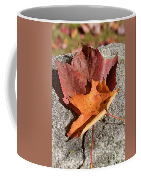 Leaves Coffee Mug featuring the photograph Leaves by Caroline Stella