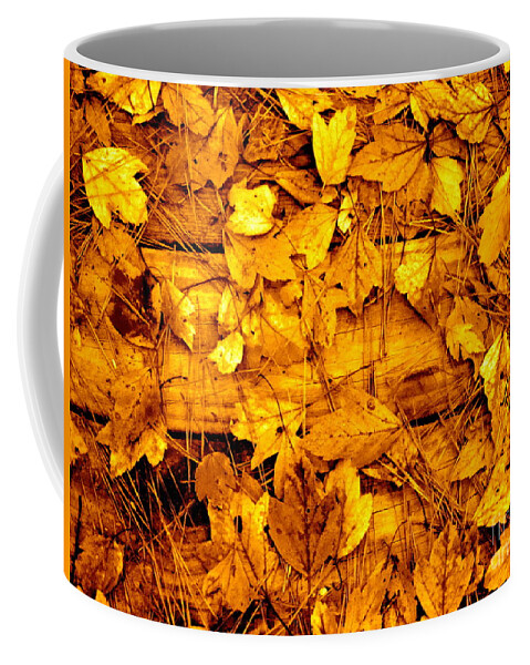 Cathy Dee Janes Coffee Mug featuring the photograph Leaves of Sepia by Cathy Dee Janes