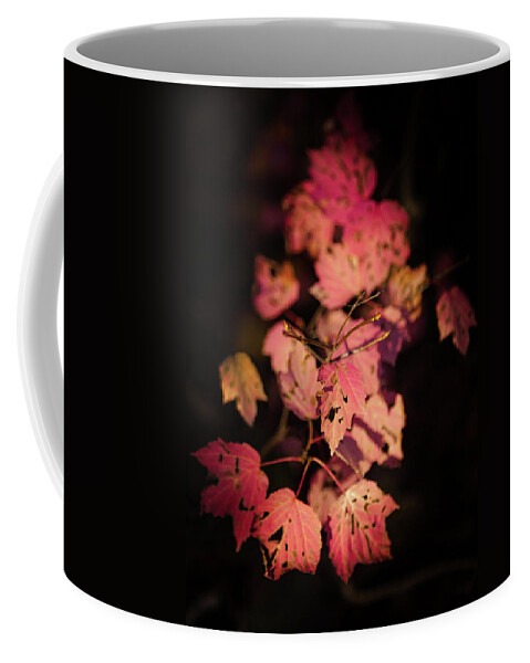 Autumn Pink Leaves Coffee Mug featuring the photograph LEAVES of SURRENDER by Karen Wiles