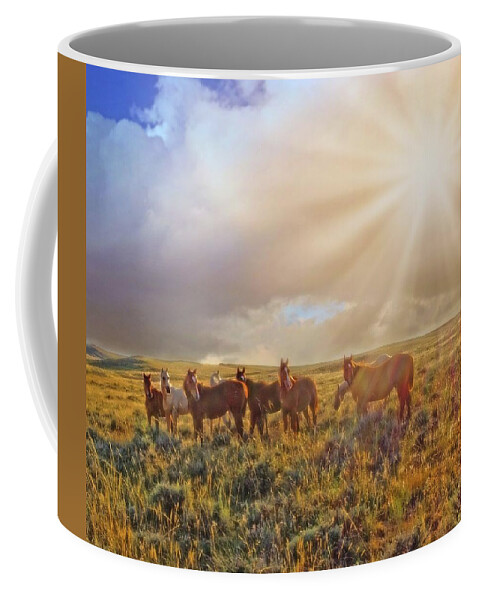 Sun Coffee Mug featuring the photograph Led by the Light by Amanda Smith