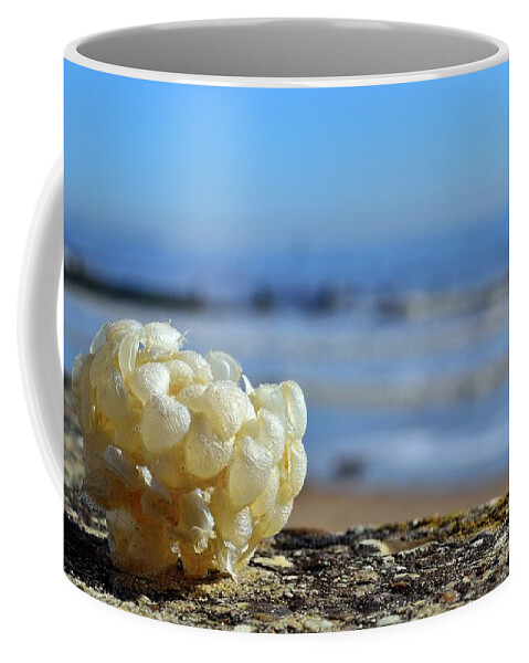 Flotsam Coffee Mug featuring the photograph Left by the tide by Bel Menpes