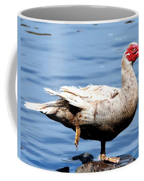 Goose Coffee Mug featuring the photograph Leg Up by Dani McEvoy