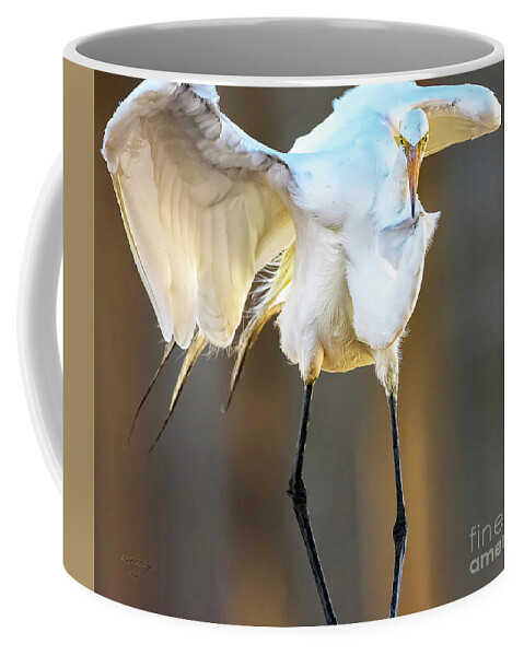 Egrets Coffee Mug featuring the photograph Legs by DB Hayes