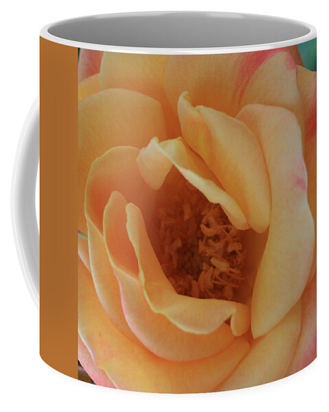 Lemon Coffee Mug featuring the photograph Lemon Blush Rose by Marna Edwards Flavell