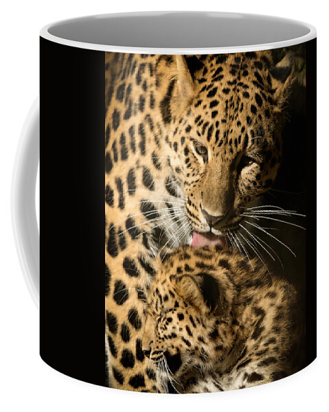 Amur Coffee Mug featuring the photograph Leopard Cub Love by Chris Boulton