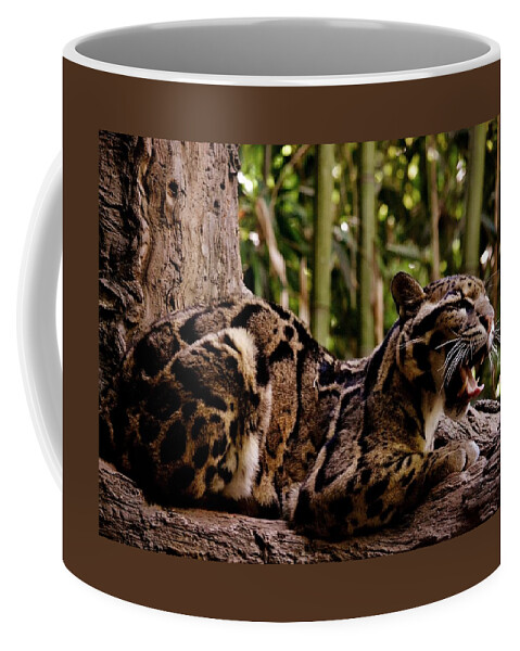 Leopard Coffee Mug featuring the photograph Leopard Yawn by Eileen Brymer