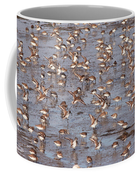 Sandpiper Coffee Mug featuring the photograph Let It Go IV by Dawn J Benko