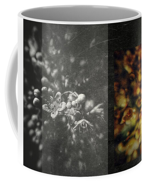 Day Coffee Mug featuring the photograph Let The Wind Go by Mark Ross