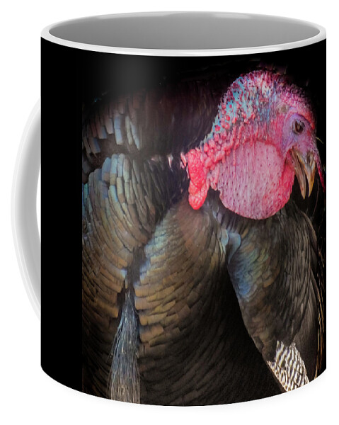 Thanksgiving Turkeys Coffee Mug featuring the photograph Let Us Give Thanks by Karen Wiles