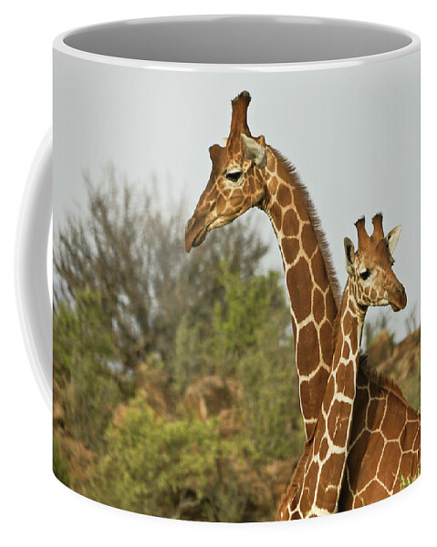 Africa Coffee Mug featuring the photograph Tall Friends by Michele Burgess