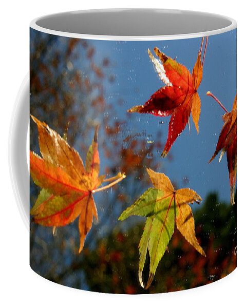 Play Coffee Mug featuring the photograph Let's Play by Marie Neder