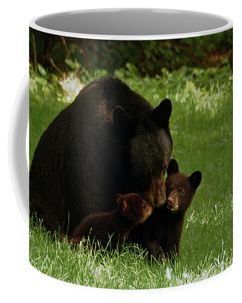 Bear Coffee Mug featuring the photograph Let's Put Our Noses Together by Lori Tambakis
