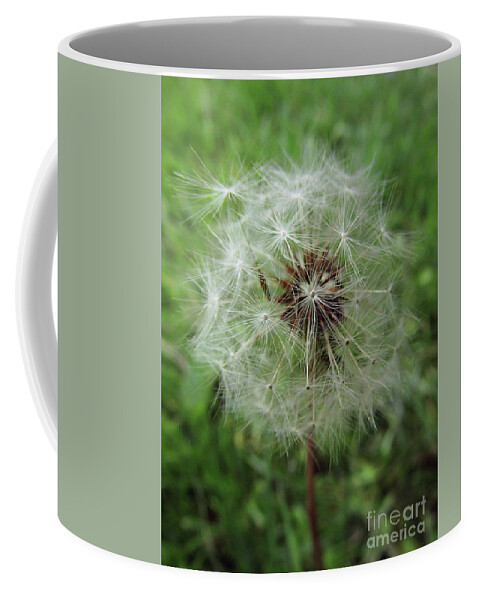 Dandelion Coffee Mug featuring the photograph Let's Wish by Kim Tran
