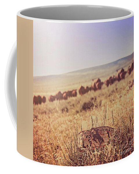 Cattle Coffee Mug featuring the photograph License to Drive by Amanda Smith
