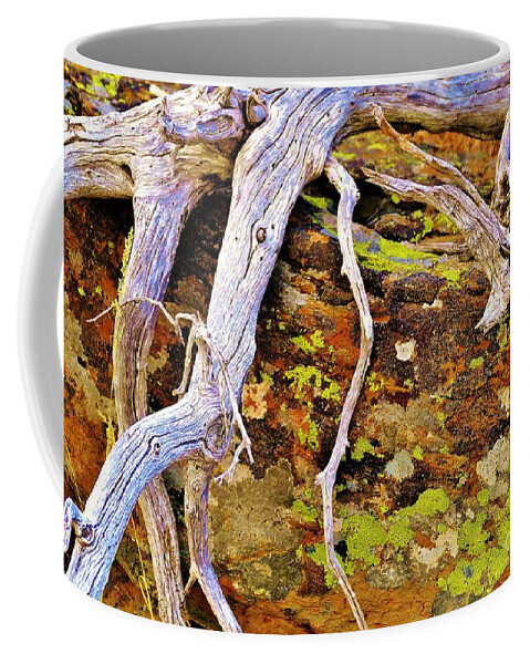 Lichen Coffee Mug featuring the photograph Lichen Art by Michele Penner
