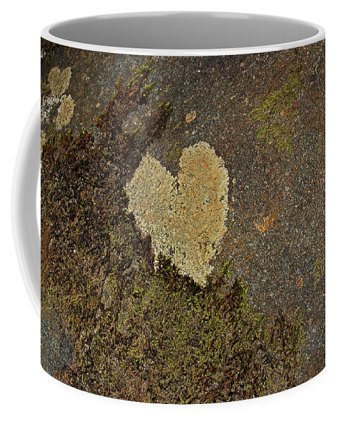 Lichen Coffee Mug featuring the photograph Lichen Love by Mike Eingle