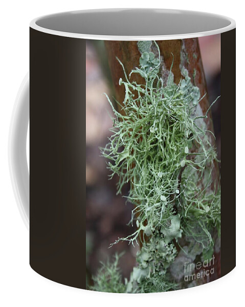 Nature Coffee Mug featuring the photograph Lichens 6 by Carol Groenen