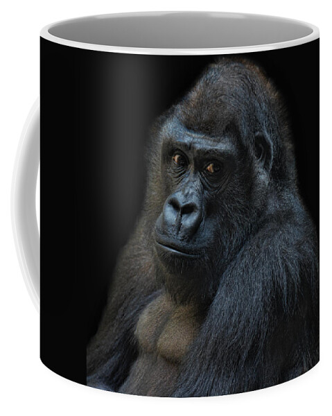 Animal Coffee Mug featuring the photograph Life Is Not Allways Funny by Joachim G Pinkawa