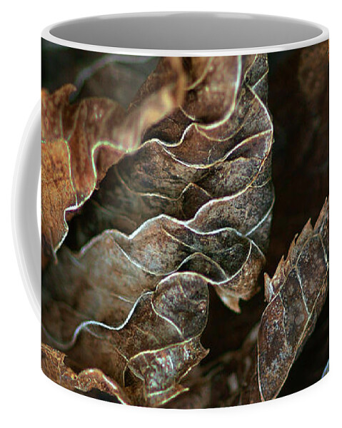 Life Lines Coffee Mug featuring the photograph Life Lines - Nature Abstract by Nikolyn McDonald