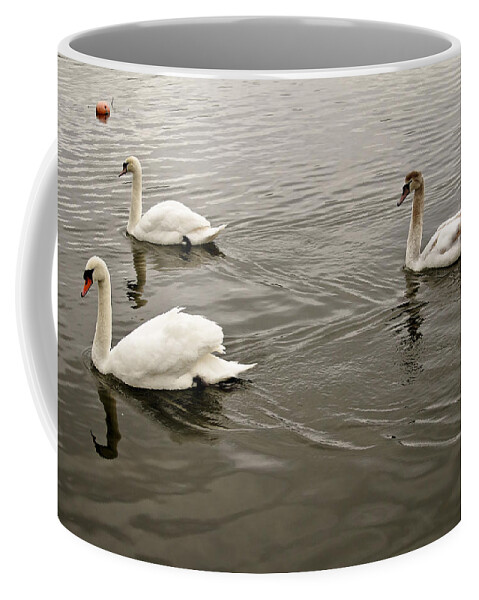Swan Coffee Mug featuring the photograph Life of a youngster. by Elena Perelman