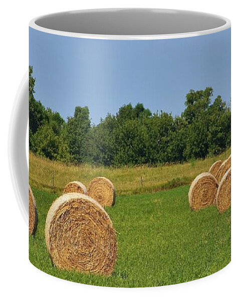 Hay Coffee Mug featuring the photograph Life on the Farm by Bruce Bley